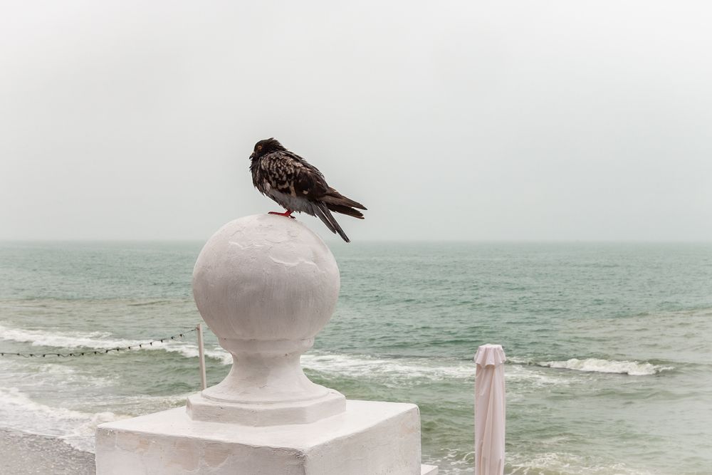 Photograph by Владислав Лопатов