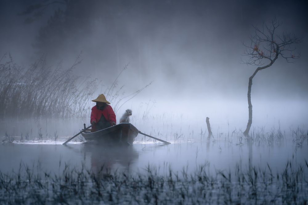Photograph by Viet Quoc
