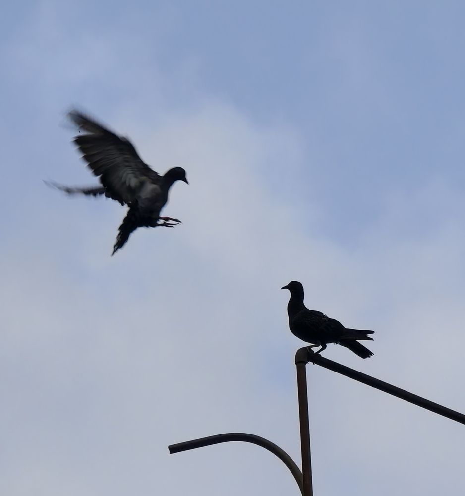 Mid-Air Dialogue