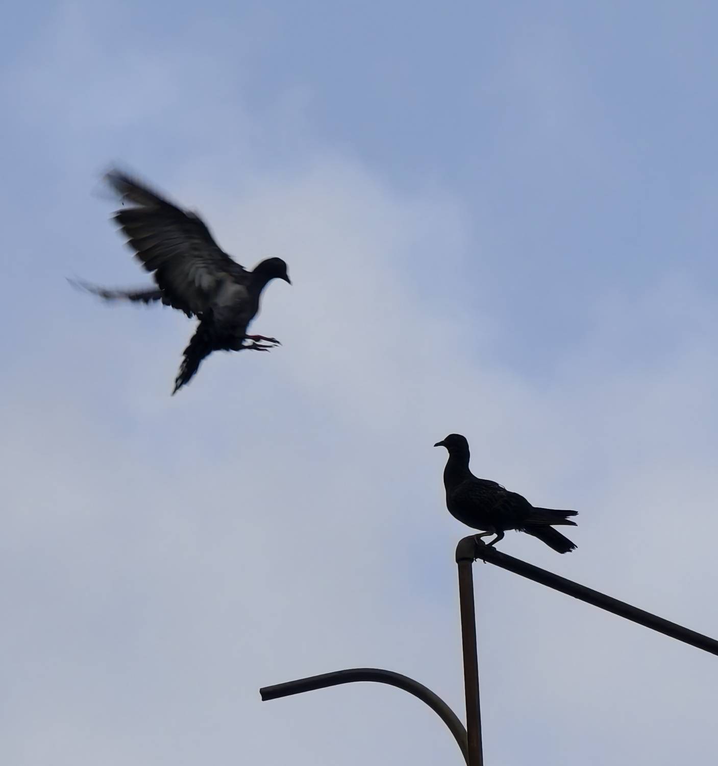 Mid-Air Dialogue