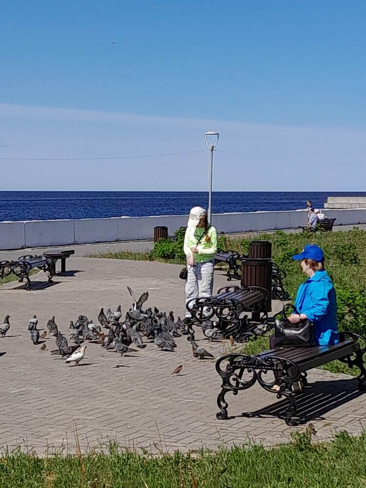Photograph by Виталий Глазачев