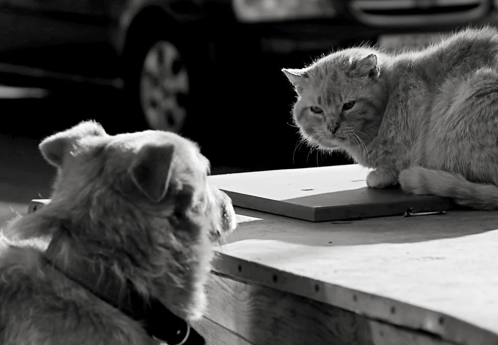 Photograph by Татьяна Слесарева