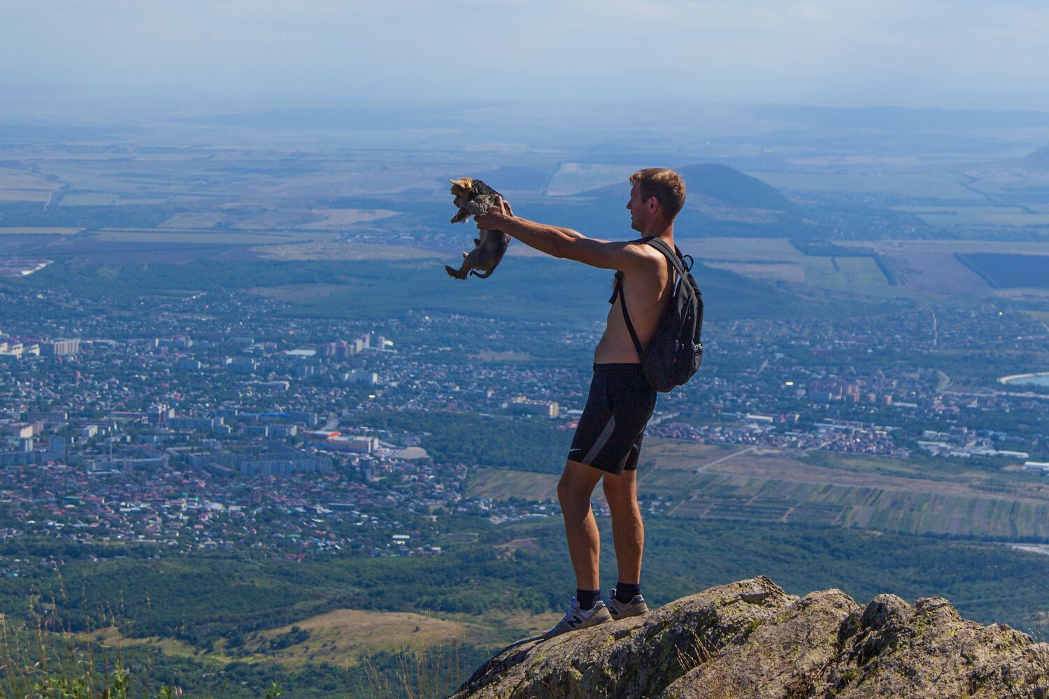 Photo #13733813