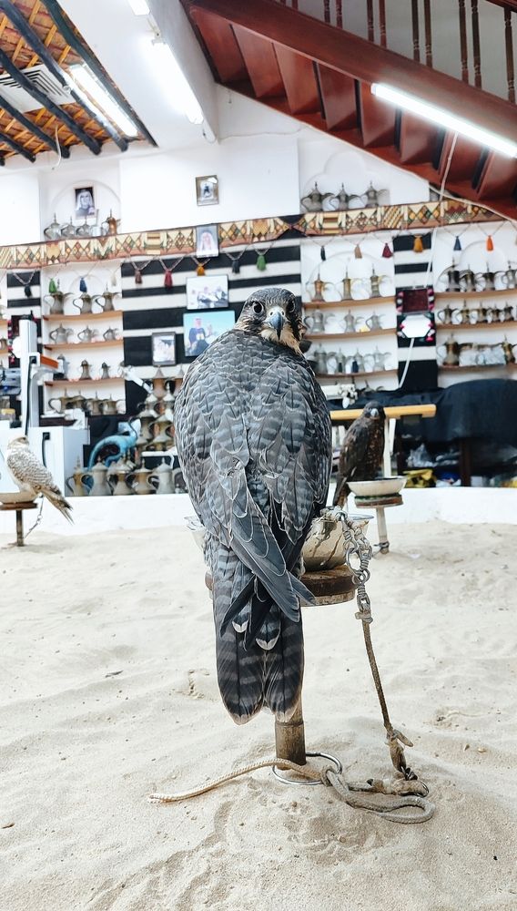 Photograph by Tatsiana Khinevich