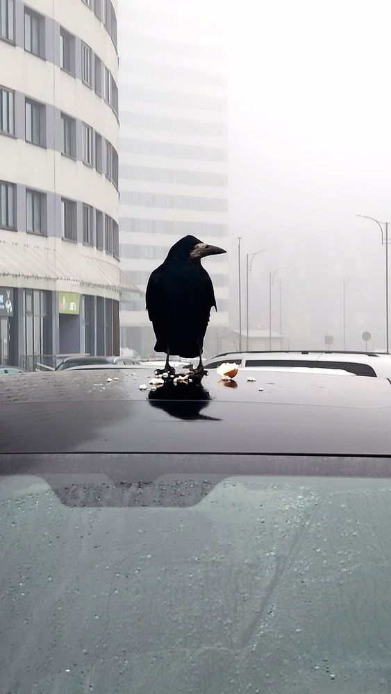 Photograph by Iryna Antsipovich