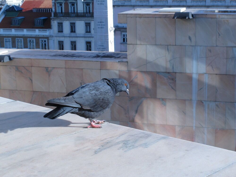 Photograph by ТАТЬЯНА ЗАХАРОВА