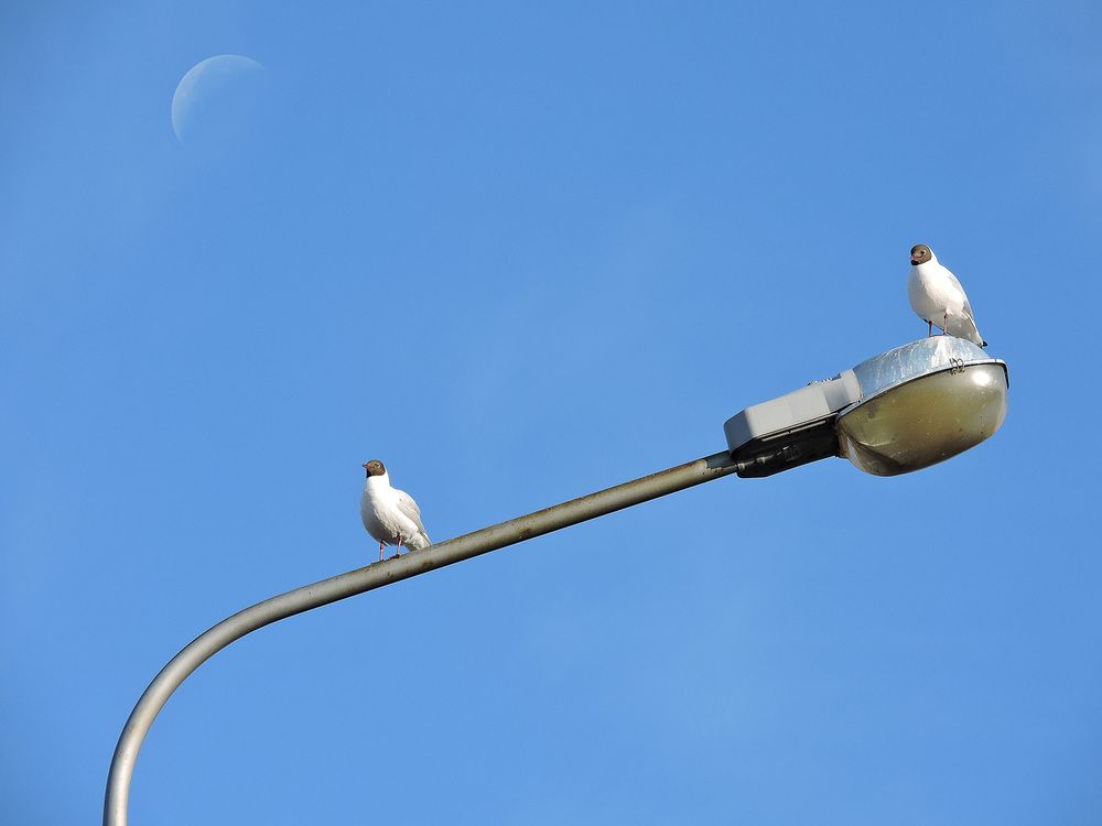 Photograph by Станислав Татарников