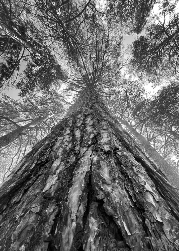 Photograph by Ольга Белоусова
