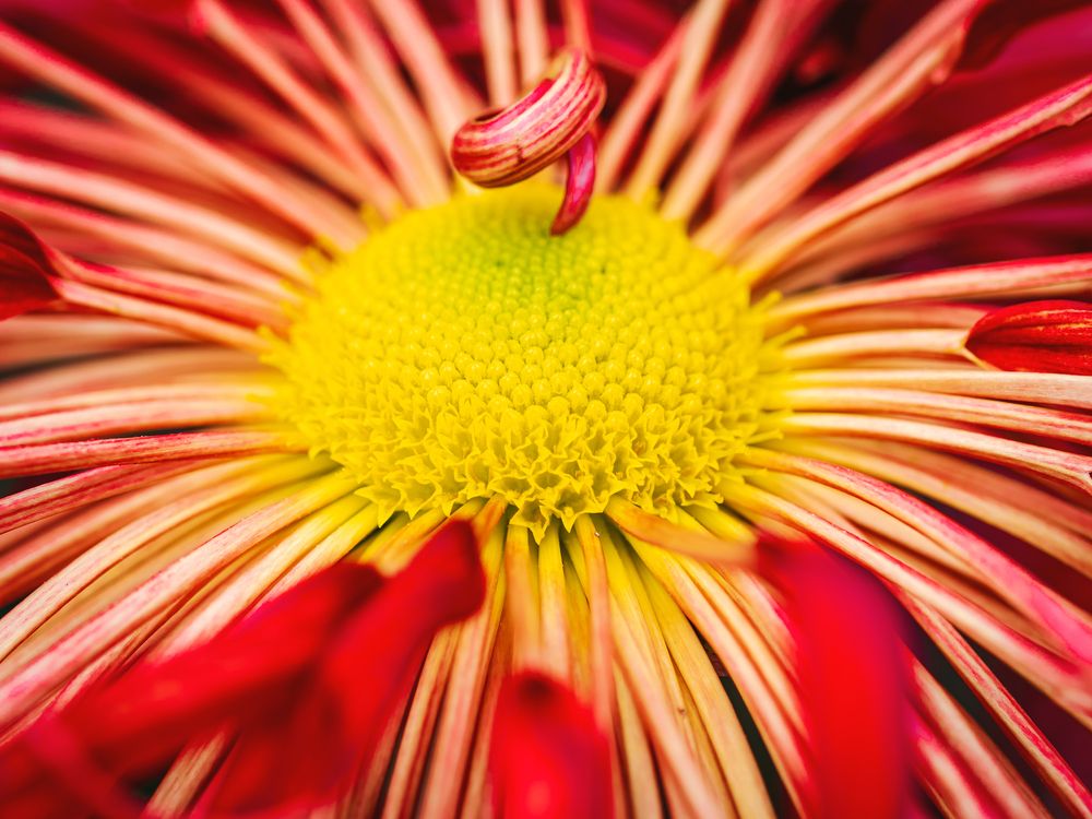 Photograph by Roman Sotnikov