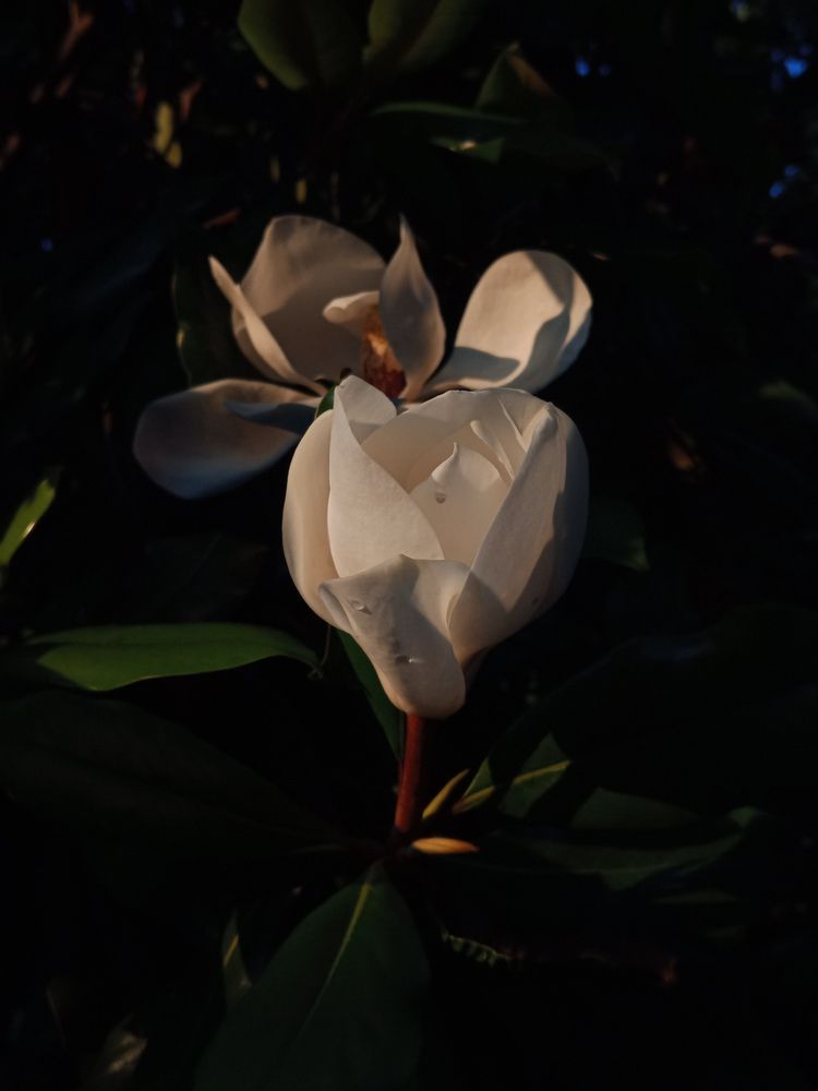 Photograph by Мила