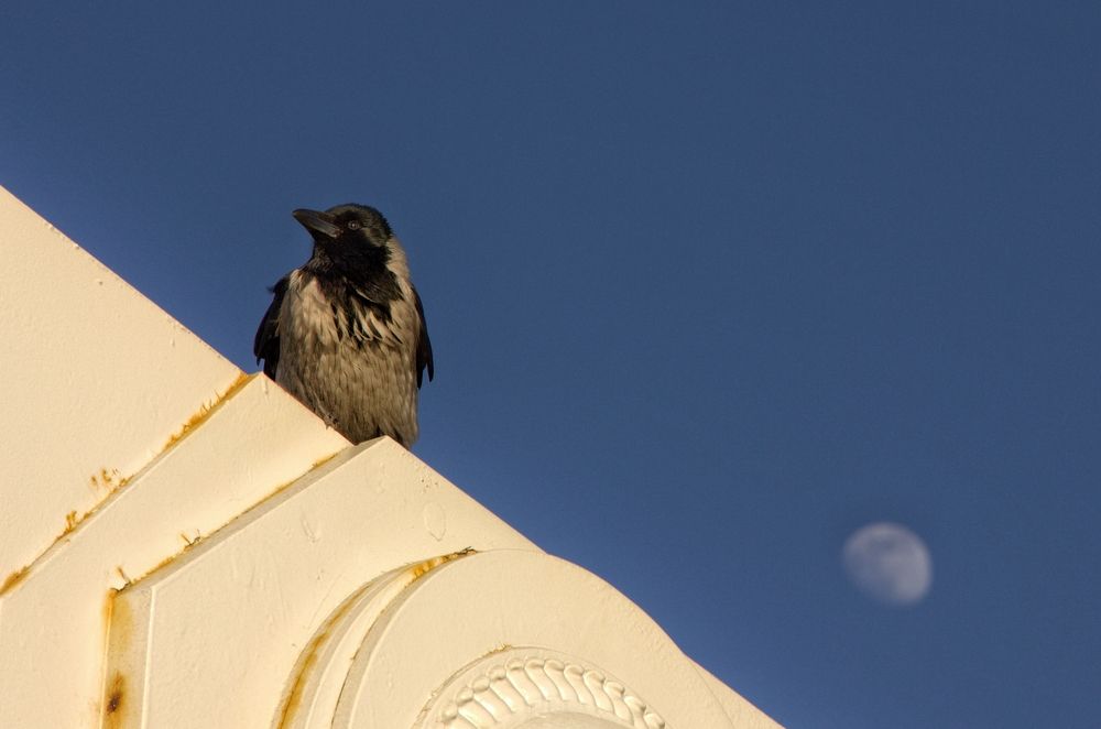 Photograph by Чурилова Надежда