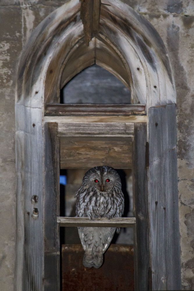 Photograph by Вячеслав Орос