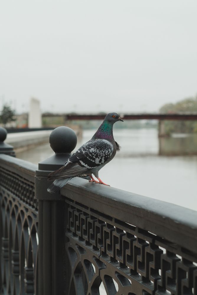 Photograph by Олеся Романова