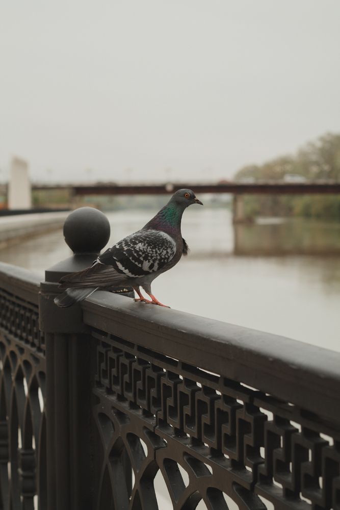 Photograph by Олеся Романова