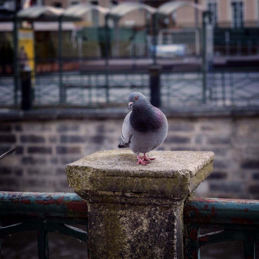 Photograph by Igor Lukin