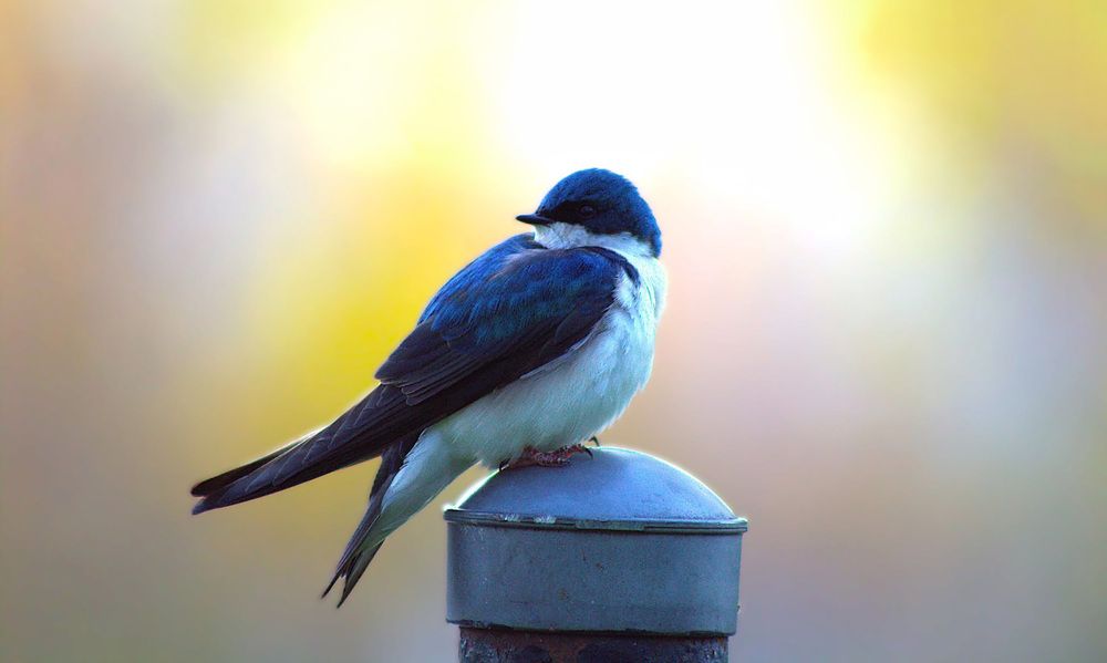 Photograph by Meilleurs Moments