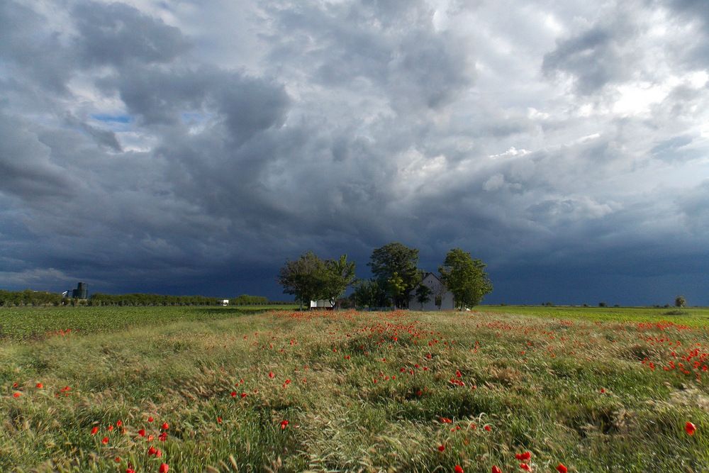 Photograph by Любовь Войводич