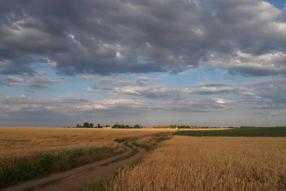 Photograph by Любовь Войводич