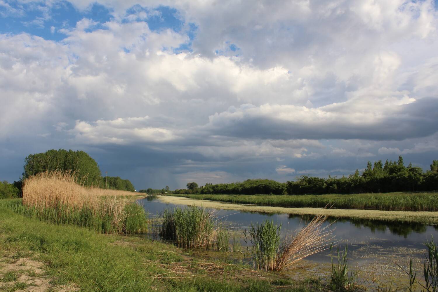 Photo #13734497