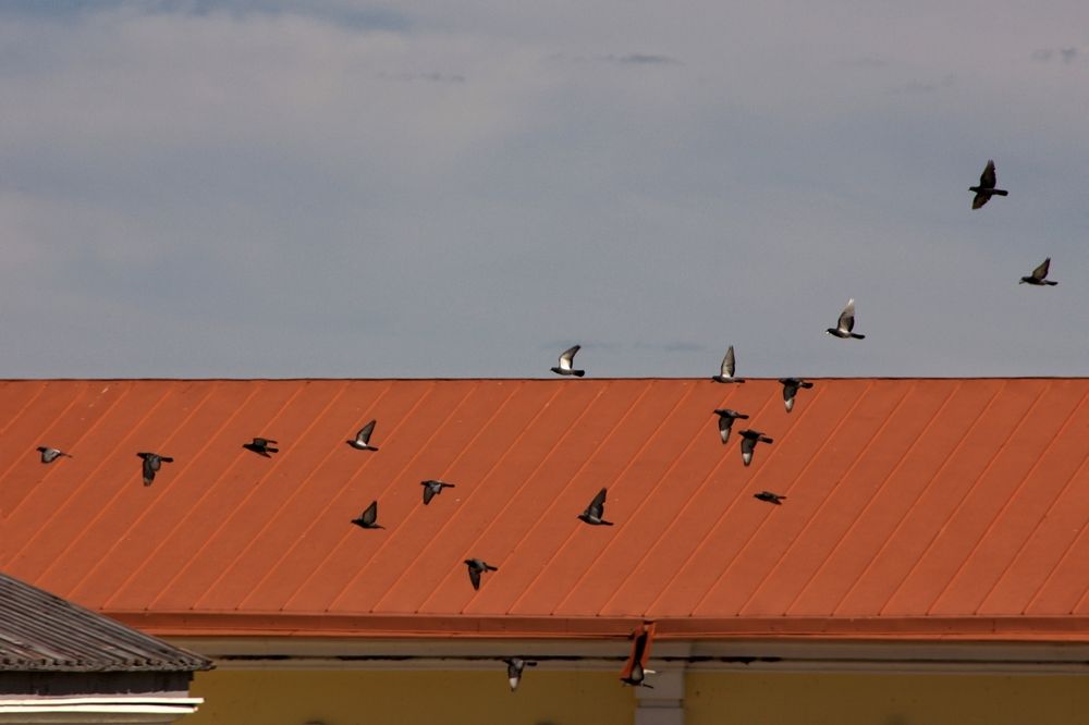 Photograph by Чурилова Надежда