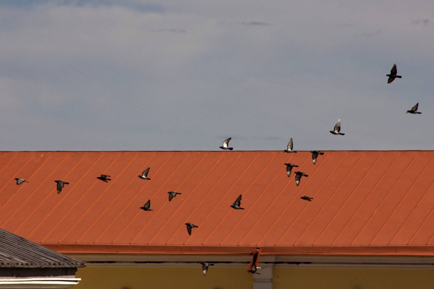 Photo #13734502