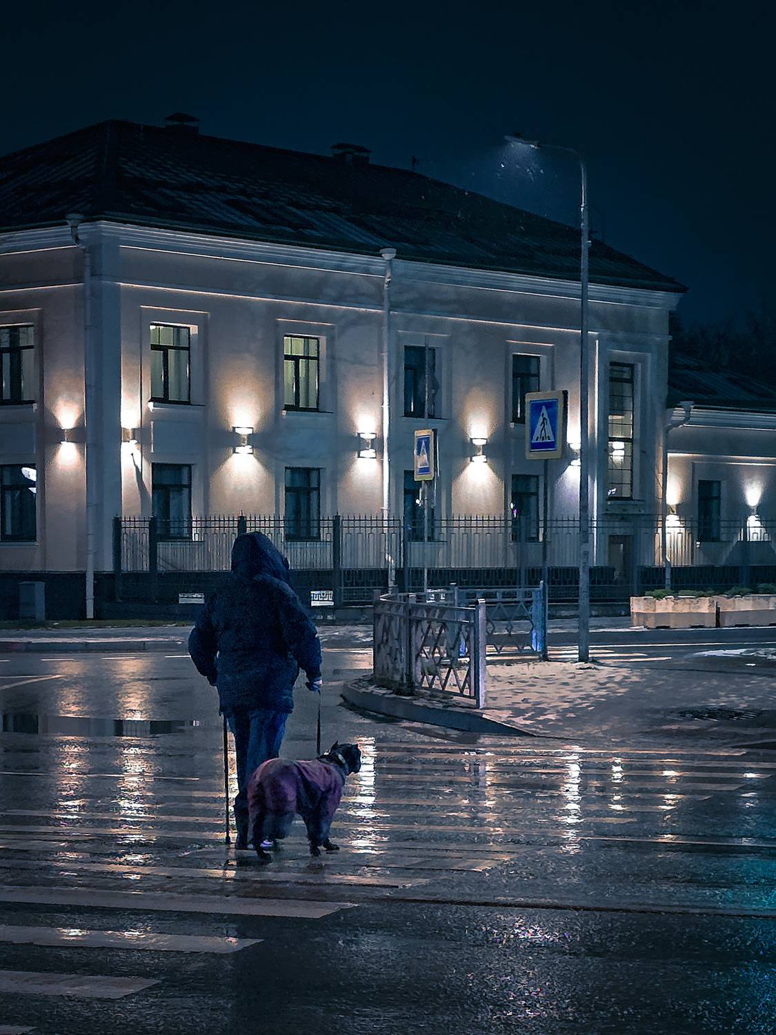 Photo #13734535