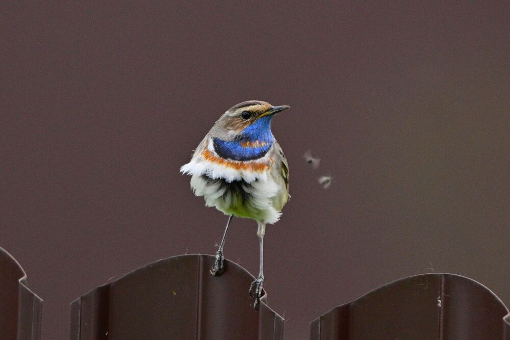 Photograph by Анатолий Каминский