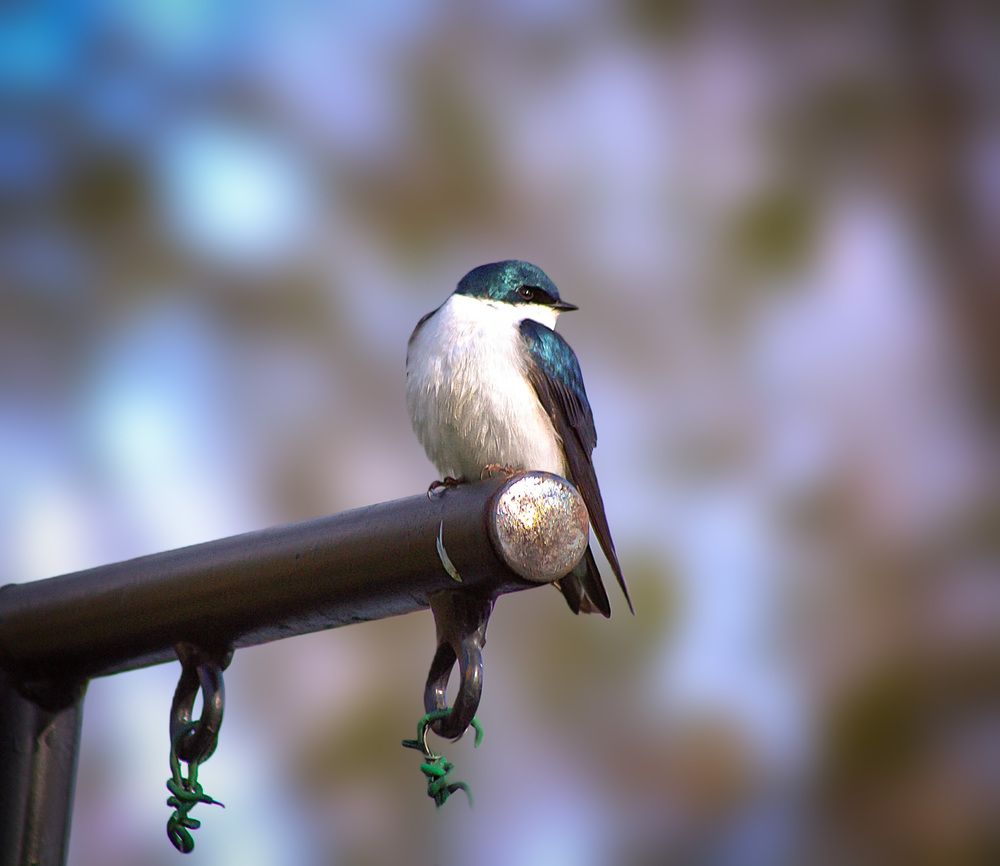 Photograph by Meilleurs Moments