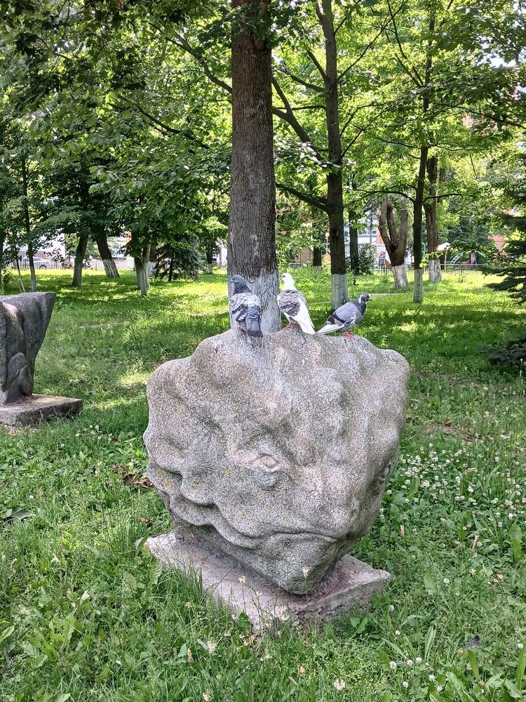 Photograph by Ольга Юрченко