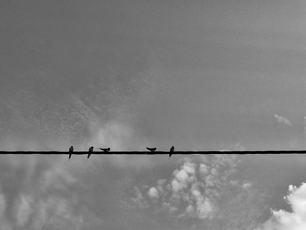 Photograph by Zahra akbari
