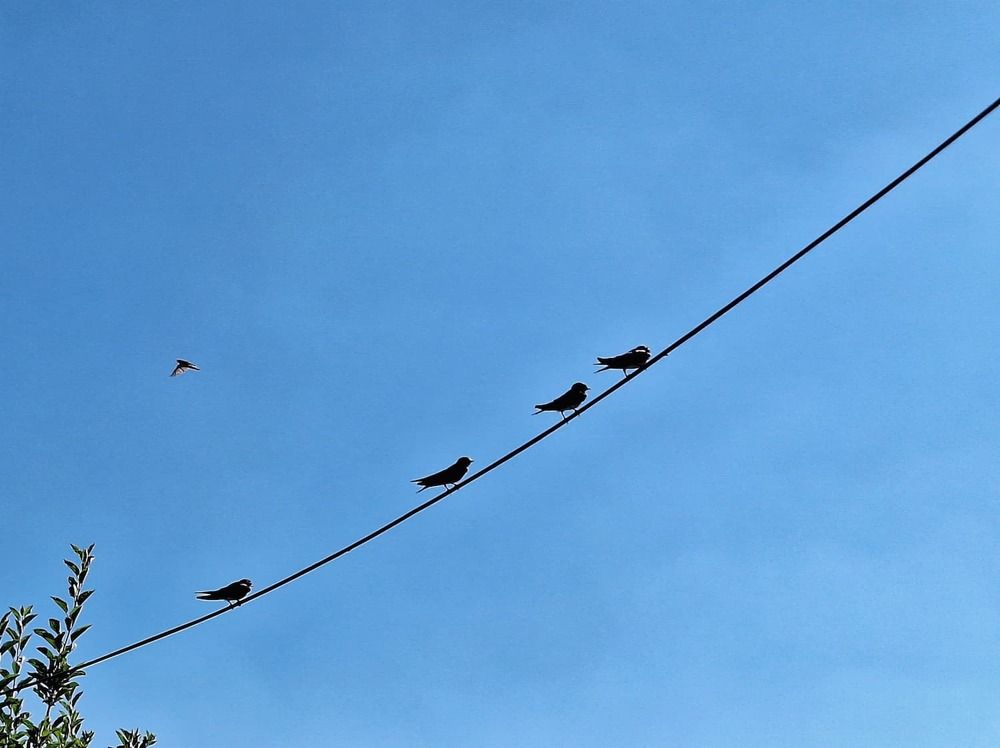 Photograph by Zahra akbari