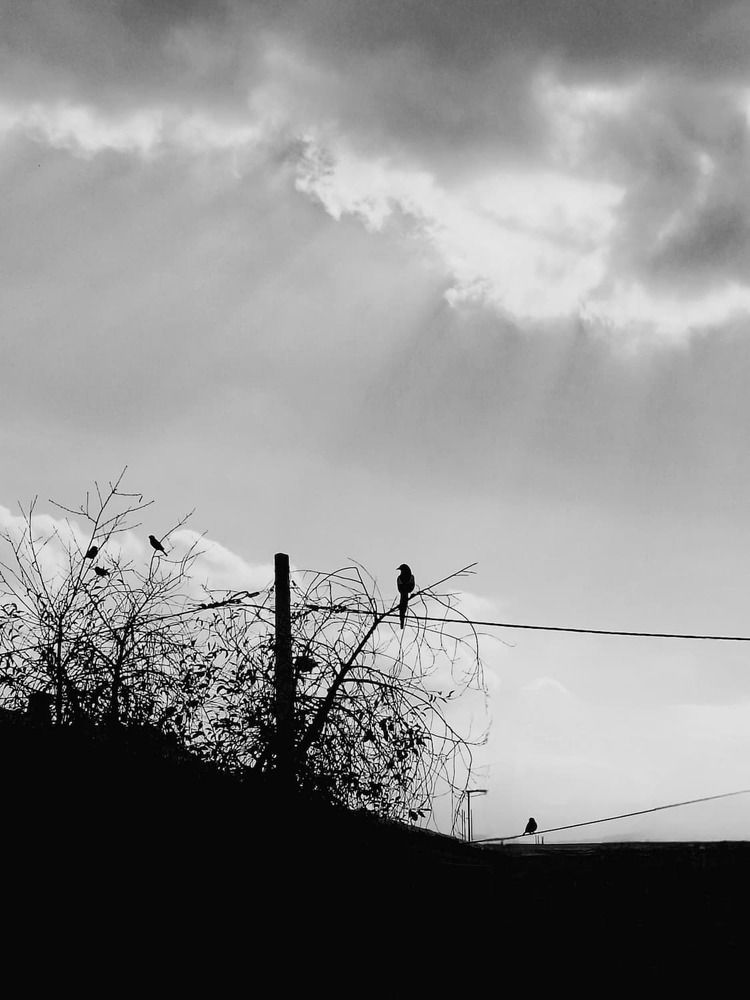 Photograph by Zahra akbari