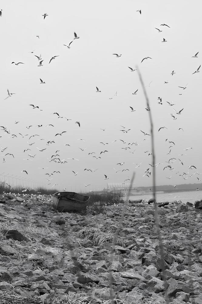 Photograph by Купцова Надежда