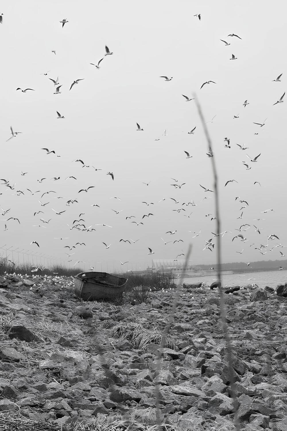 Photo #13734695