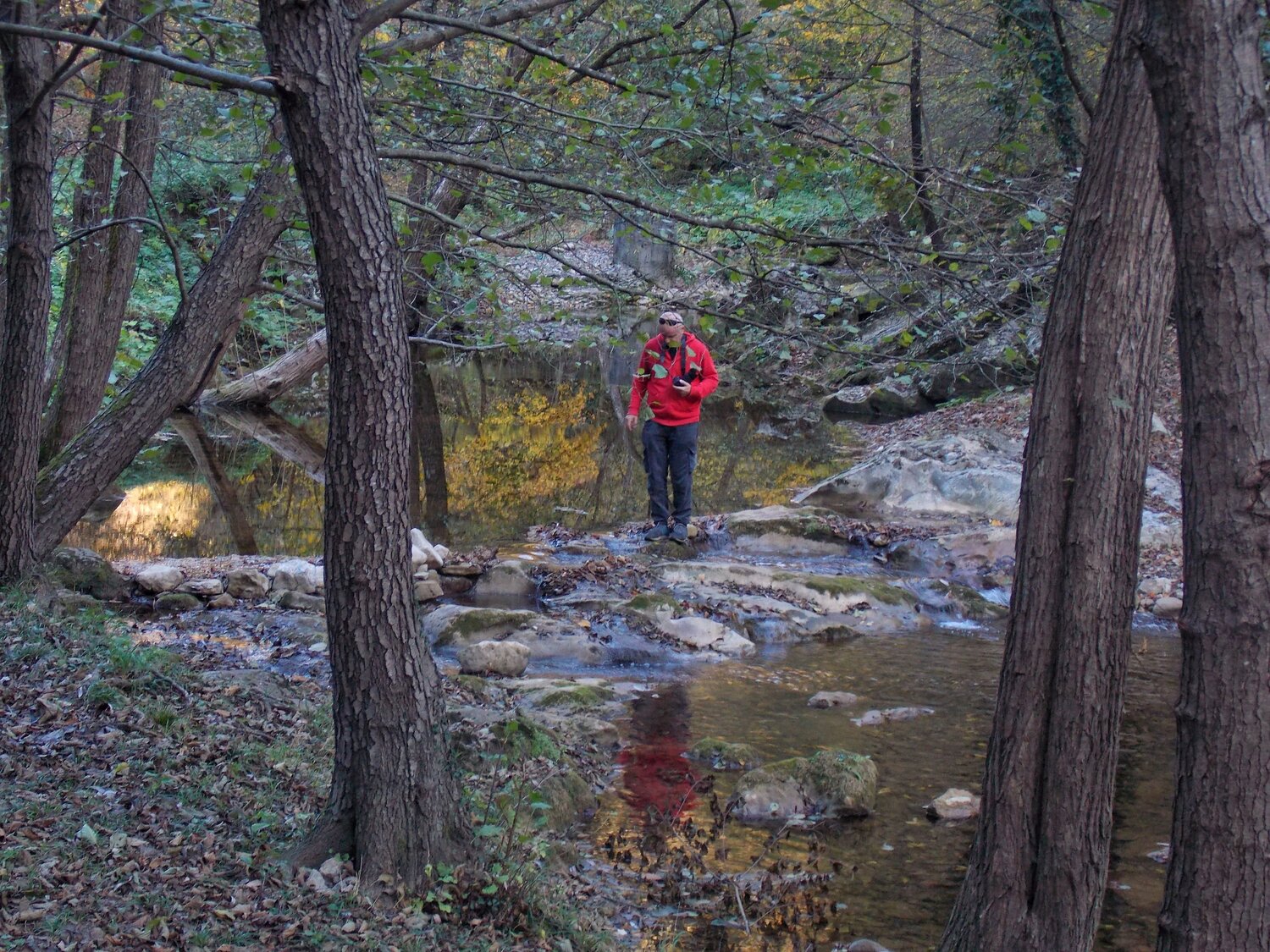 Photo #13734783