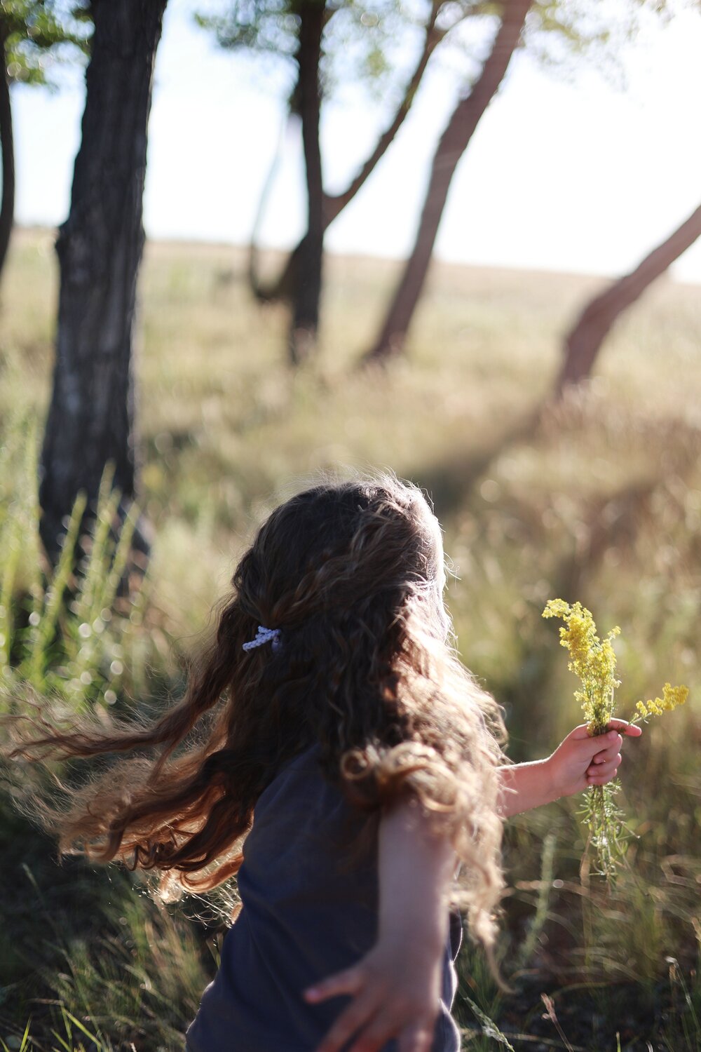 Photo #13734824