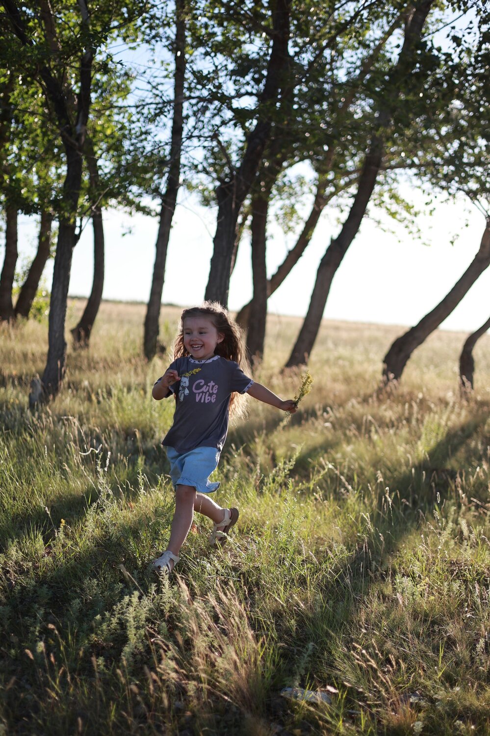 Photo #13734825