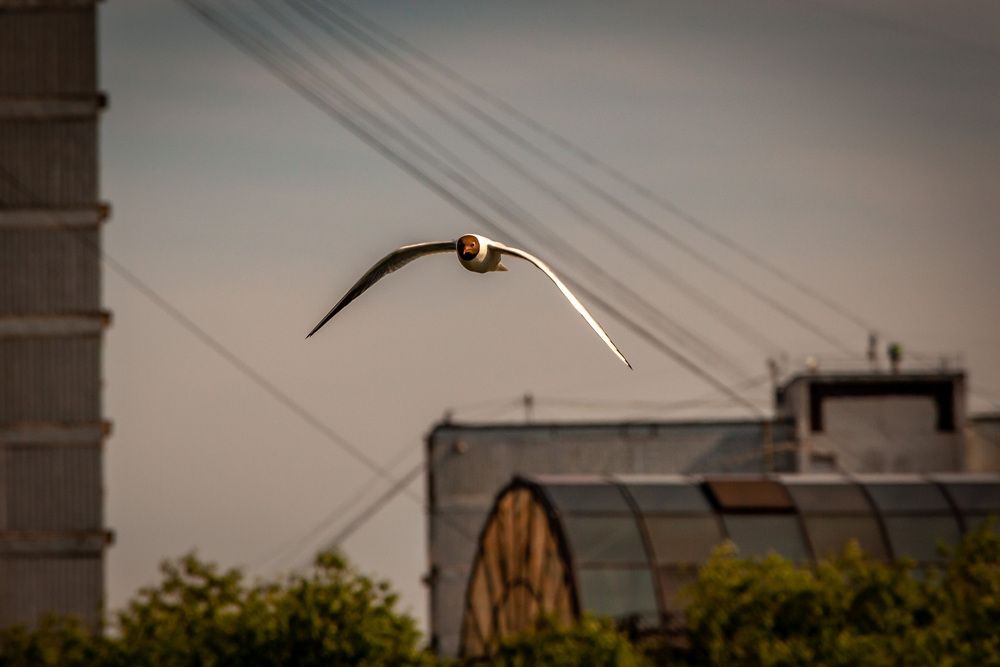 Photograph by Владислав Лопатов