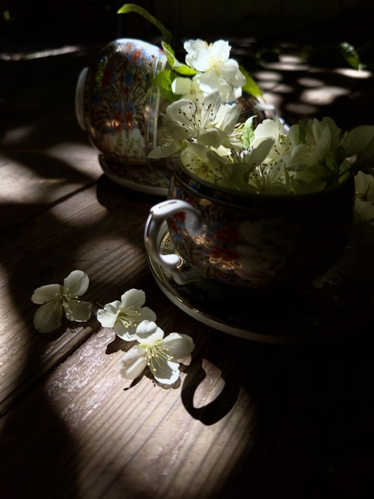 Photograph by Elena Ananieva