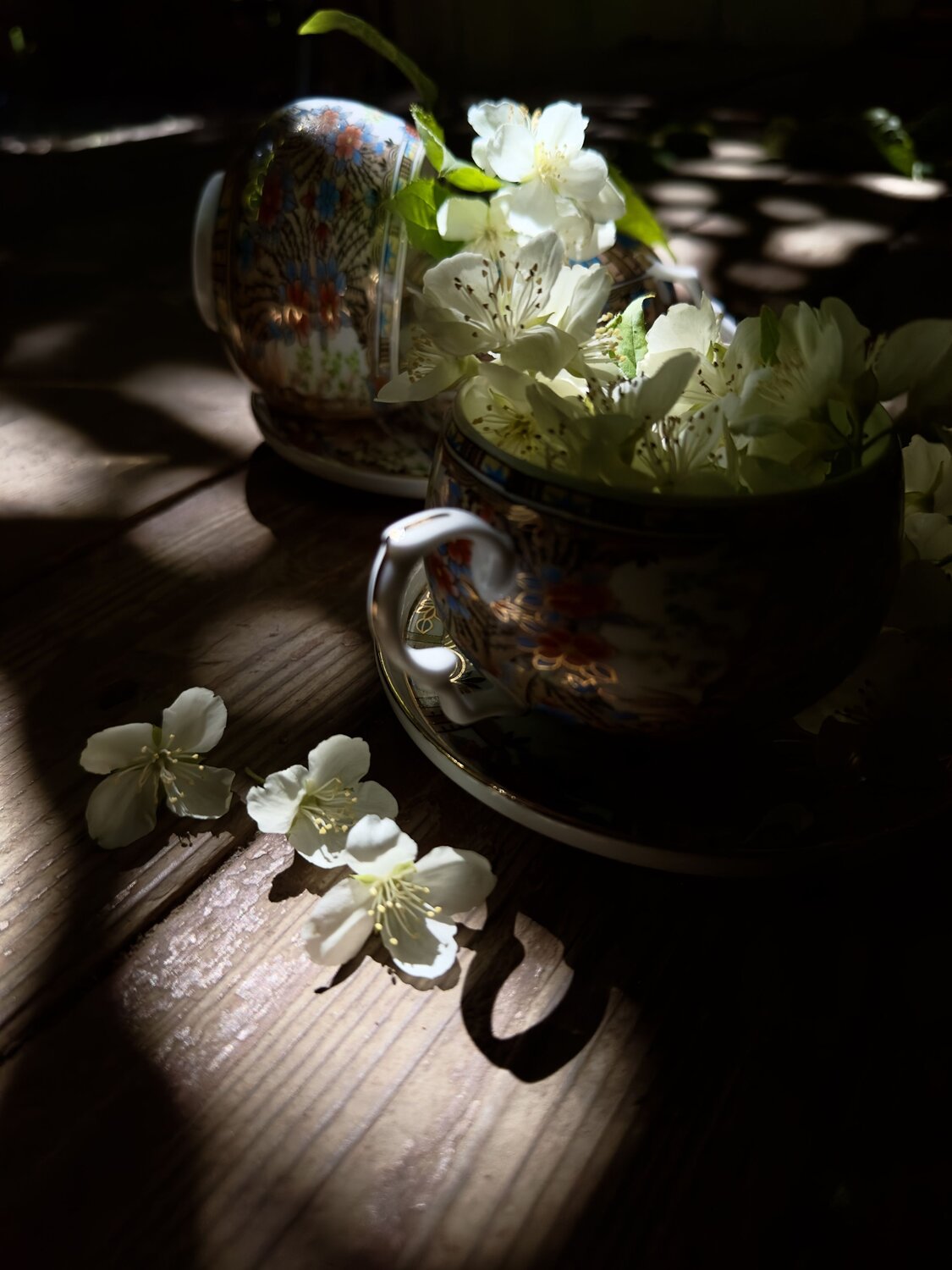 Photo #13734852