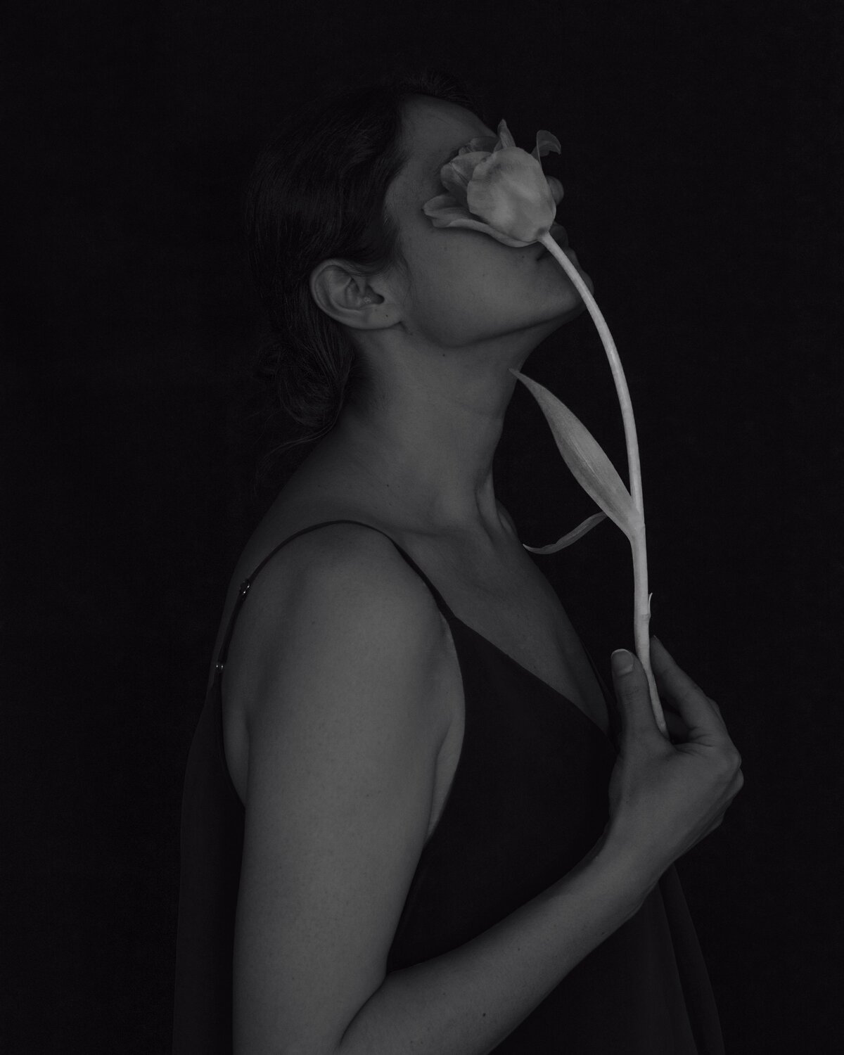 Photo #13734902
