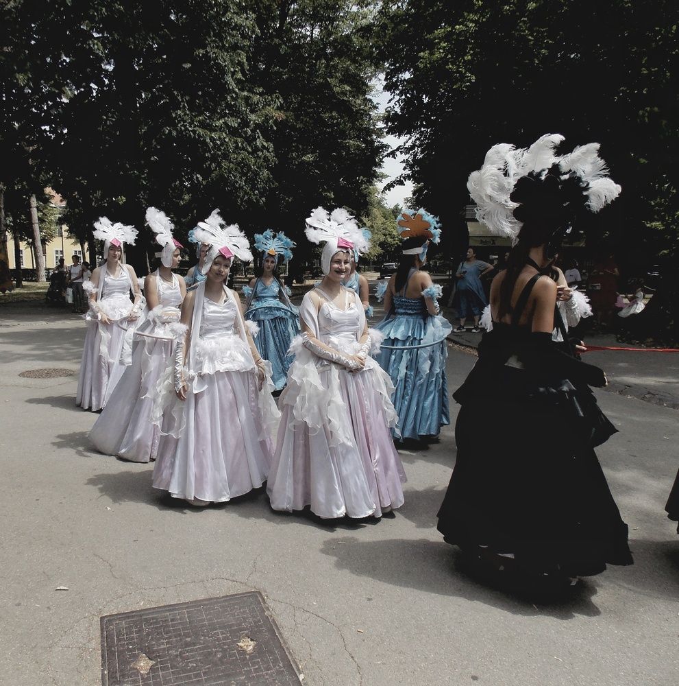 Photograph by Dragoslav Macanović