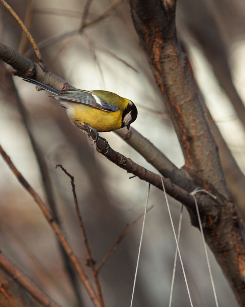 Photograph by Денис Дорошенко