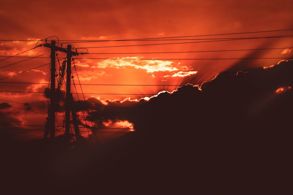 Photograph by Evan John Lakra