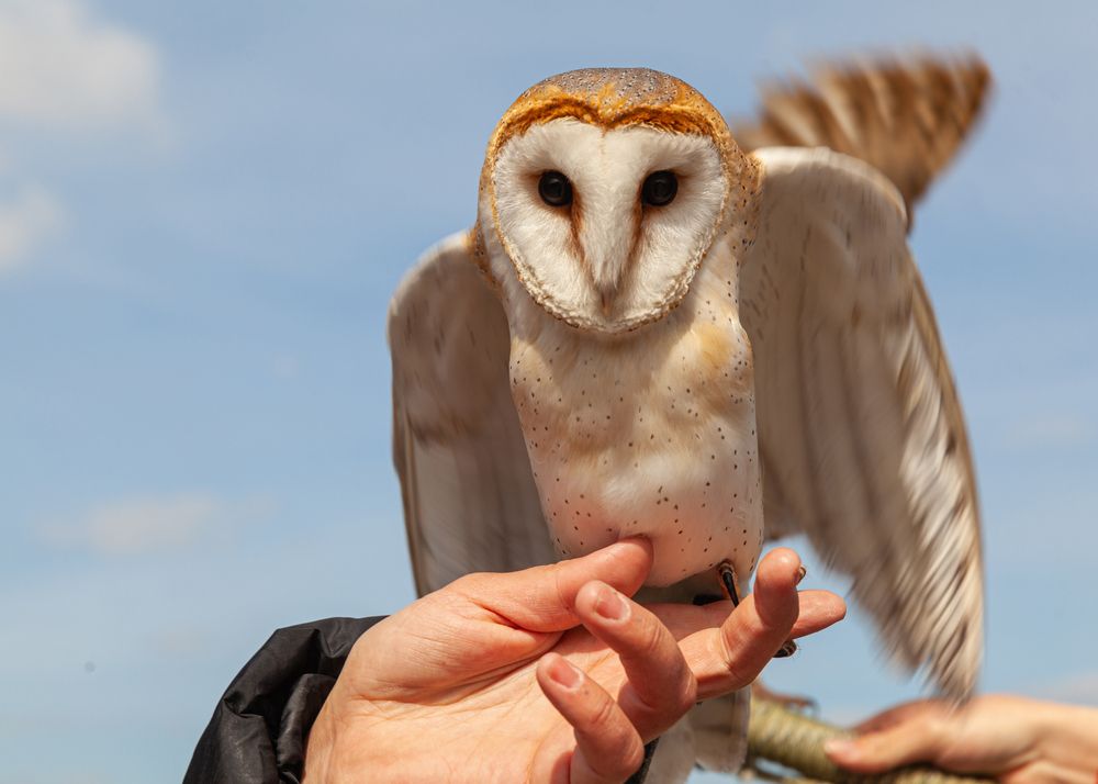 Photograph by Денис Дорошенко