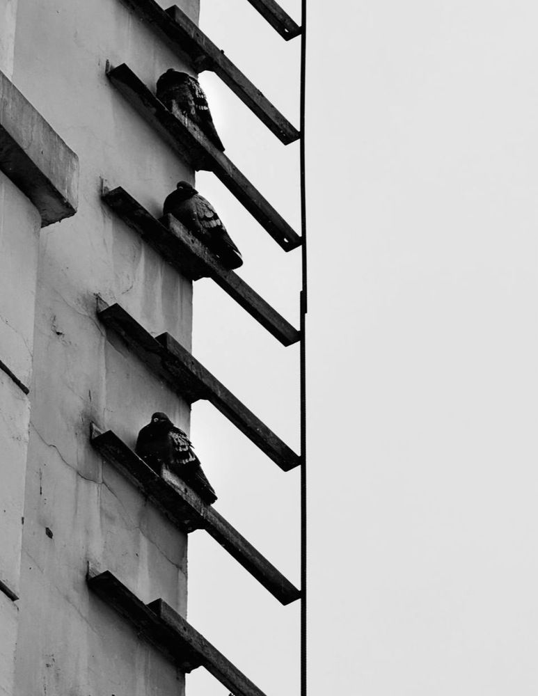 Photograph by Галина Шиманцова