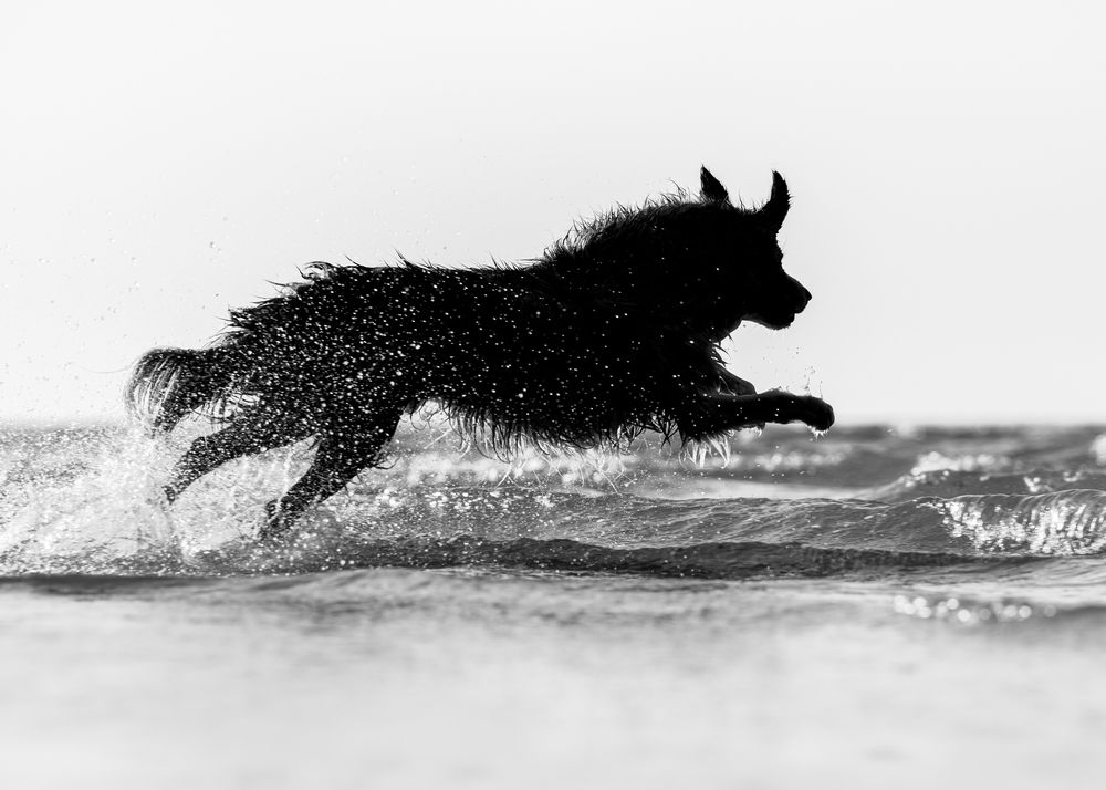 Beyond the Waves