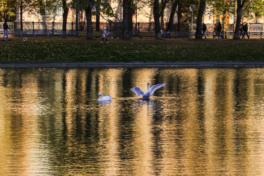Photograph by Анастасия Миронова