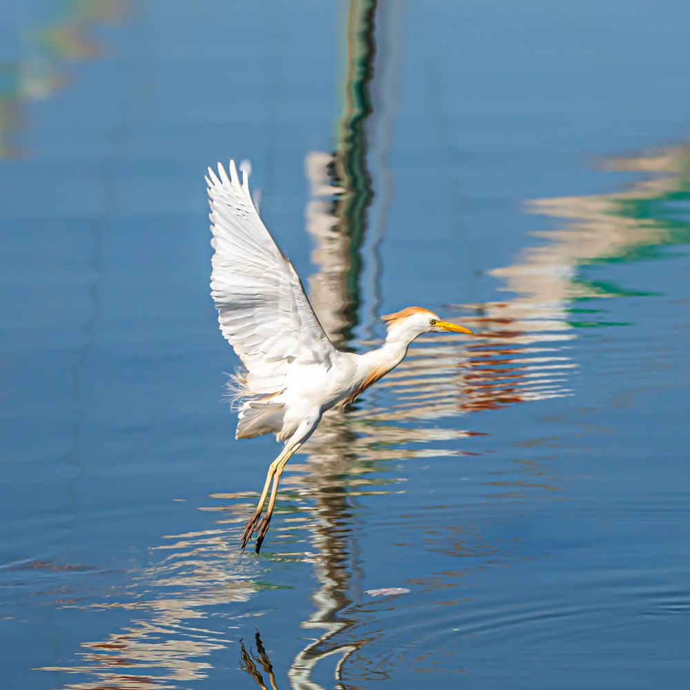 Photograph by Mohamed Abd El fattah
