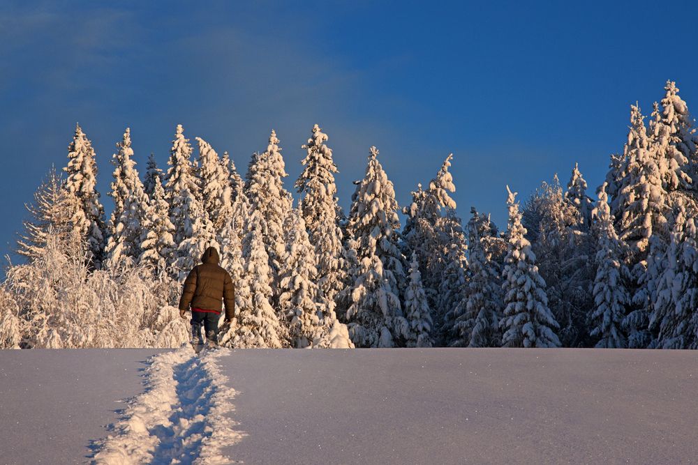 Photograph by Анна Акименко